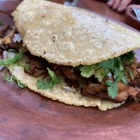   at Los Loosers in Mexico City