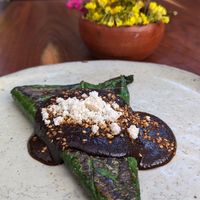 El mole está delicioso at Los Loosers in Mexico City