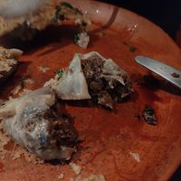  at Los Loosers in Mexico City