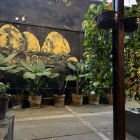 Afuera del lugar   at Los Loosers in Mexico City