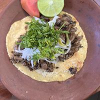 taco santa maría   at Los Loosers in Mexico City