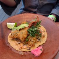  at Los Loosers in Mexico City