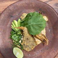 Fish taco with fried oyster mushrooms  at Los Loosers in Mexico City