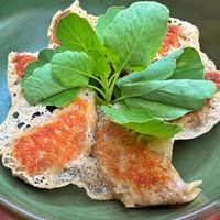   at Los Loosers in Mexico City