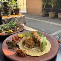 “Faux fish” taco   at Los Loosers in Mexico City