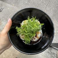   at Los Loosers in Mexico City