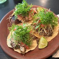 The Bistec Queso tacos  at Los Loosers in Mexico City