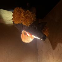 Even the bathroom lights are unique   at Los Loosers in Mexico City