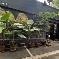 The outside  at Los Loosers in Mexico City