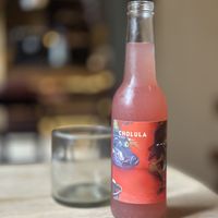 Farm to table and botanical ferments - this food and drinks are medicine for the soul   at Los Loosers in Mexico City