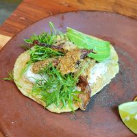 Fish taco at Los Loosers in Mexico City