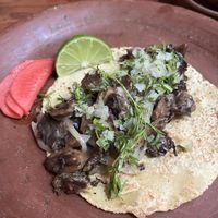   at Los Loosers in Mexico City