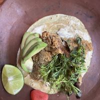   at Los Loosers in Mexico City