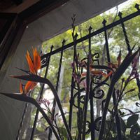   at Los Loosers in Mexico City