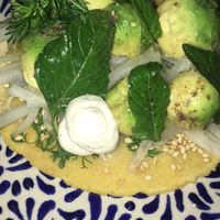 Avocado  at Los Loosers in Mexico City