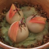 Japanese dessert at Los Loosers in Mexico City