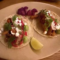 Chipotle mushroom tacos at Sentir in New York City