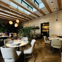   at Samsara in Cluj-napoca