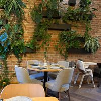  at Samsara in Cluj-napoca