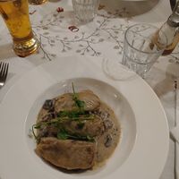 Vegan gołabki with mushroom sauce at Piwnica pod Kominkiem in Krakow