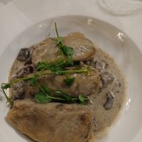 Vegan gołabki eith mushroom sauce at Piwnica pod Kominkiem in Krakow