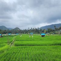View at Warung Bintang in Manggis