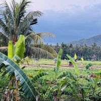   at Warung Bintang in Manggis