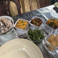  at Bamboo Hut in Dikwella