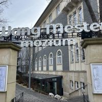 Restaurant is down these steps   at Wang Mester Mozium in Budapest