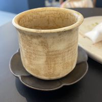   at Jubilee Garden  in Sutton Coldfield