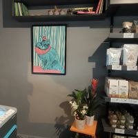  at Veganistasyon in Istanbul