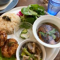 brown rice plate at Alaska Zwei in Tokyo