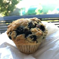 Blueberry muffin at Alaska Zwei in Tokyo