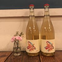 You can choose natural wine. at Alaska Zwei in Tokyo