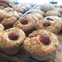 Vegan muffins, it's so delicious! at Alaska Zwei in Tokyo