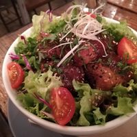 Vegan katsudon at Alaska Zwei in Tokyo