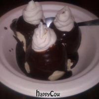 vegan ice cream with vegan chocolate syrup at Maddys in Los Angeles