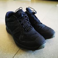 Fiona Oakes Trainers, almost 6 years old, many times in the washing machine and still going strong! 💪🏻 at Tower Hill Stables Animal Sanctuary in Maldon