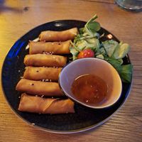  at Tokymon in Bad Nauheim