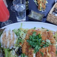 Reis, Salat, paniertes Tofu, Mango at Tokymon in Bad Nauheim