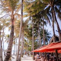 Relaxing white sand and beautiful palm trees location at Ambassador In Paradise Resort in Boracay