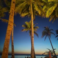  at Ambassador In Paradise Resort in Boracay