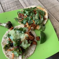 Chicharron tacos  at Avocado Punk in Aguascalientes