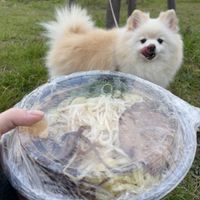 Takeout in the park with dog!   at Ramen Kiou Morinomiya in Osaka