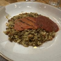   at El Muelle de Darwin   in Puerto Ayora