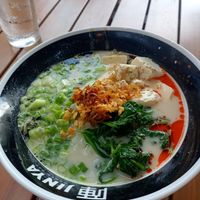  at JINYA Ramen Bar - SouthPark in Charlotte
