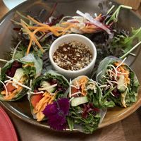 Veggie rice paper rolls and satay  at Khu Khu CBD in Auckland