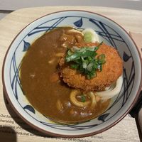 Vegan Katsu (Veganuary special - size small)  at Marugame Udon - Kensington Arcade in West London