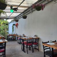 Plant life on the patio at Namaste Indian Restaurant in Manuel Antonio