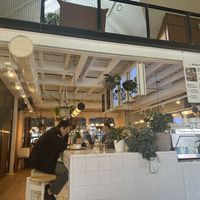 Atmosphere   at Wild & The Moon  in Serris